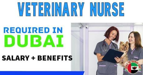 Veterinary Nurse Required in Dubai