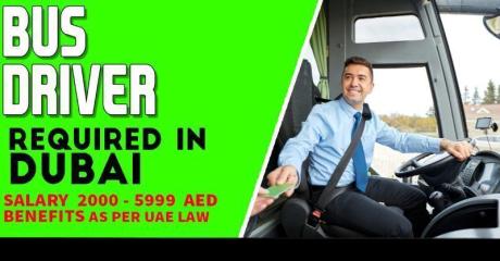 BUS DRIVER Required in Dubai
