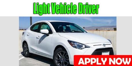 Light Vehicle Driver