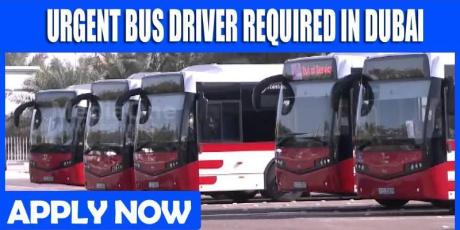 URGENT BUS DRIVER REQUIRED IN DUBAI