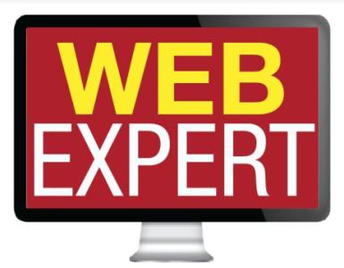 wanted web expert