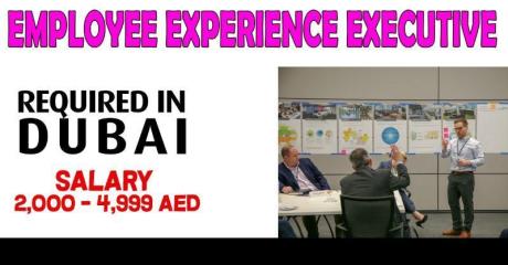 Employee Experience Executive Required in Dubai