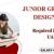 Junior Graphic Designer Required in Dubai