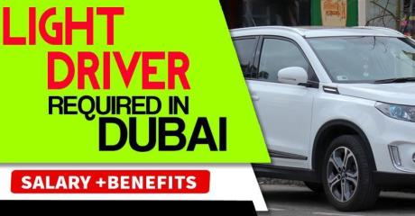 Light Driver Required in Dubai