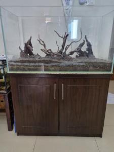 Fish tank with stand