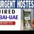 Urgent Hostess Required in Dubai