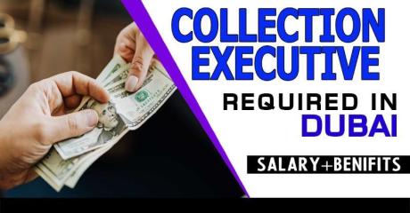 Collection Executive - Finance - UAE National Required in Duba