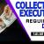 Collection Executive - Finance - UAE National Required in Duba