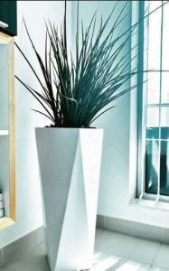 VIBRANT AND UNIQUE PLANT POTS AT UNBEATABLE PRICES