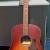 New Seagull Entourage Autumn Burst Acoustic guitar