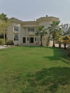 Neat and Clean Room For Rent