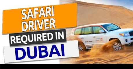 Safari Driver Required in Dubai -