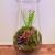 Mini Forest Terrarium – Handmade Glass Garden