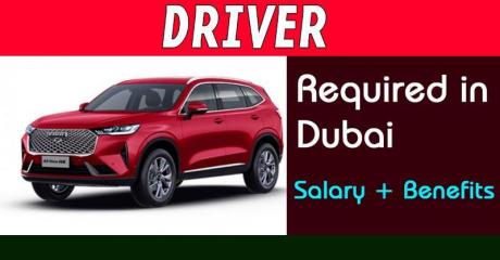 Driver Required in Dubai