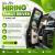 Family Driver Required in Dubai