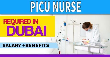PICU Nurse Required in Dubai