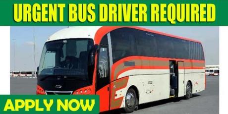URGENT BUS DRIVER REQUIRED