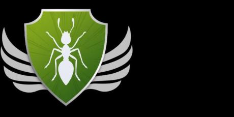 Assistant to the Chief Operations Officer in ras alkhaimah