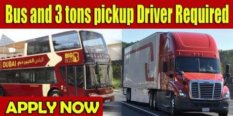 Bus and 3 tons pickup Driver Required