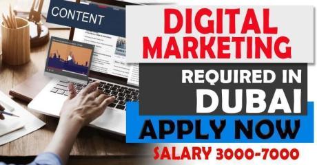 DIGITAL MARKETING REQUIREED IN DUBAI