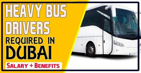HEAVY BUS DRIVERS Required in Dubai