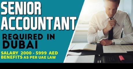 Senior Accountant Required in Dubai