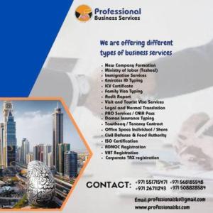 PROFESSIONAL BUSINESS SERVICES IN THE UAE