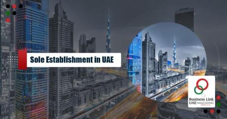 Sole Establishment Company Formation in UAE