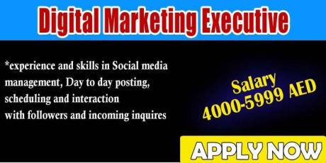 Digital Marketing Executive