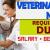 Veterinary Nurse Required in Dubai -
