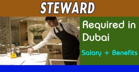 Steward Required in Dubai