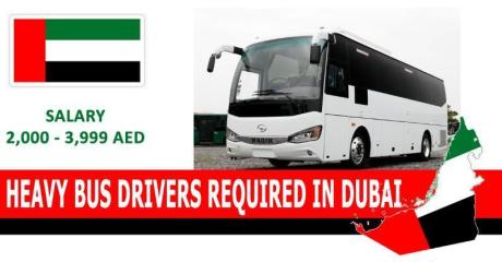 HEAVY BUS DRIVERS REQUIRED IN DUBAI