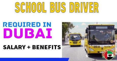 School Bus Driver Required in Dubai