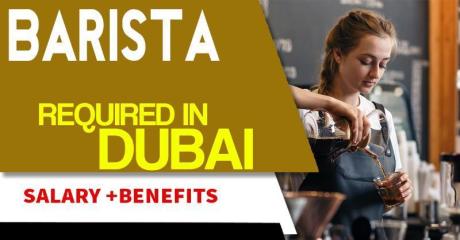 Barista Required in Dubai