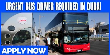 URGENT BUS DRIVER REQUIRED IN DUBAI