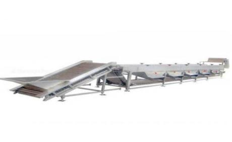 Manufacturer and Supplier of Sorting Conveyor Company in UAE