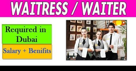 Waitress / Waiter Required in Dubai
