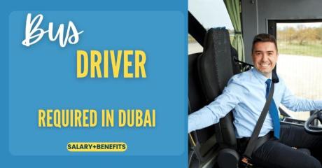 Bus Driver Required in Dubai