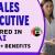 Sales Executive Required in Dubai