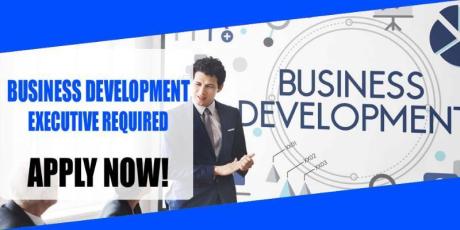 BUSINESS DEVELOPMENT EXECUTIVE REQUIRED IN DUBAI