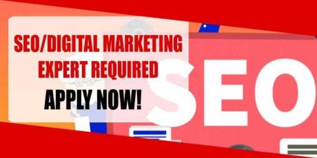 SEO DIGITAL MARKETING EXPERT REQUIRED IN DUBAI