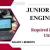 Junior Data Engineer Required in Dubai