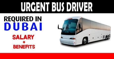 Urgent Bus Driver Required in Dubai