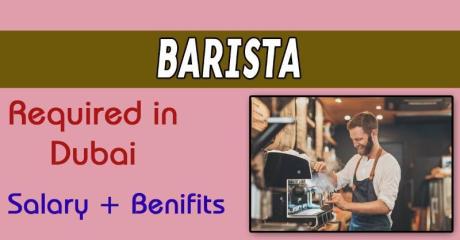 Barista Required in Dubai -