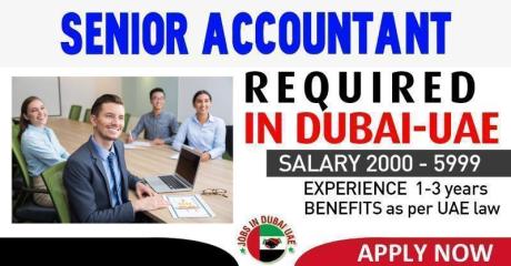 SENIOR ACCOUNTANT REQUIRED IN DUBAI