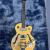Electric Guitar Epiphone Wildkat