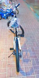 Bicycle 26 Inch Jumping Disk