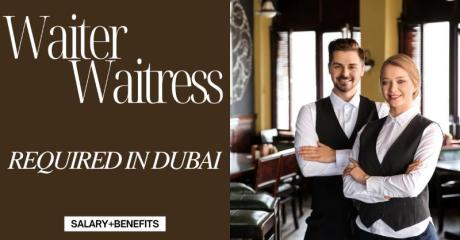 Waiter Waitress Required in Dubai
