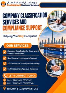 Expert Company Classification Services and Compliance Support