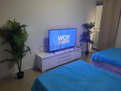 Bed space with one lady in Luxury rooms near difc MS ladies only